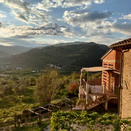 Agriturismo La Fontaccia Rufina Luaran gambar