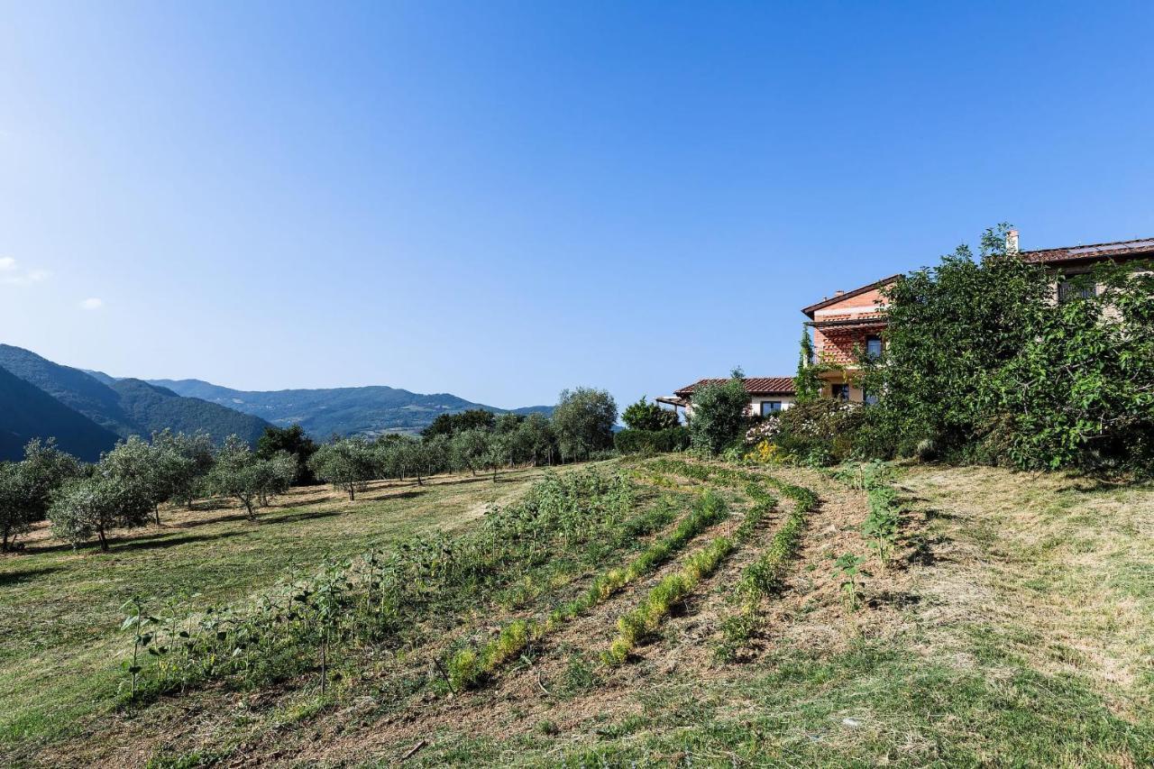 Agriturismo La Fontaccia Rufina Luaran gambar