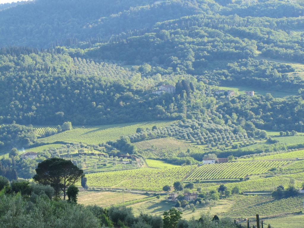 Agriturismo La Fontaccia Rufina Luaran gambar