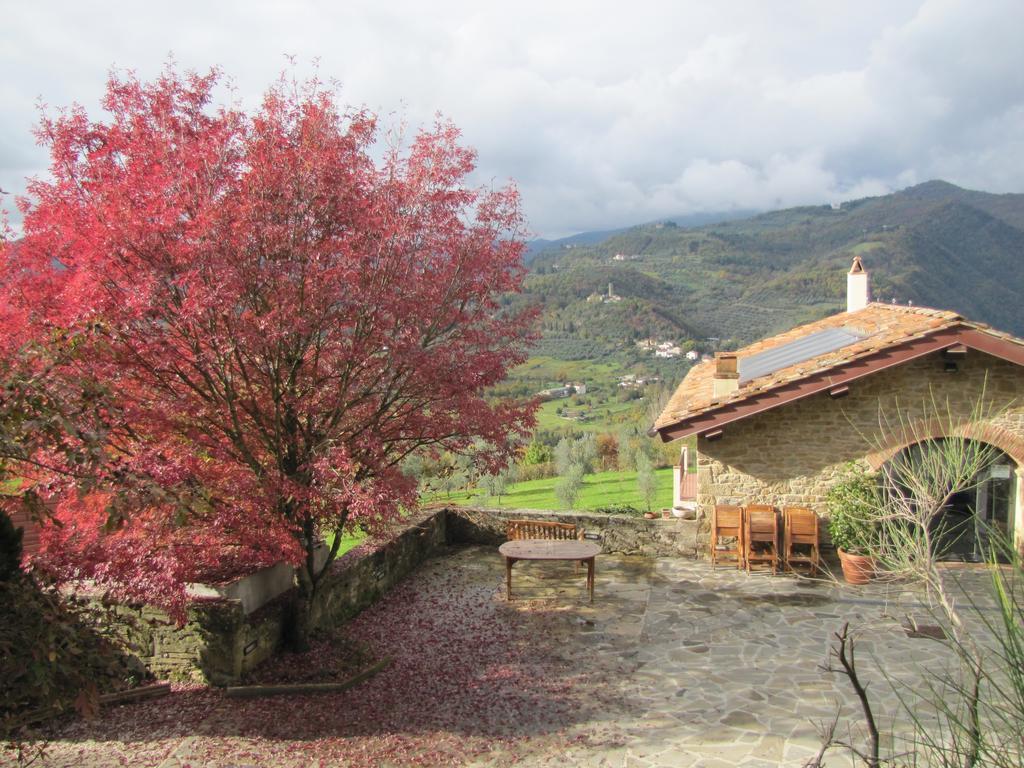 Agriturismo La Fontaccia Rufina Luaran gambar
