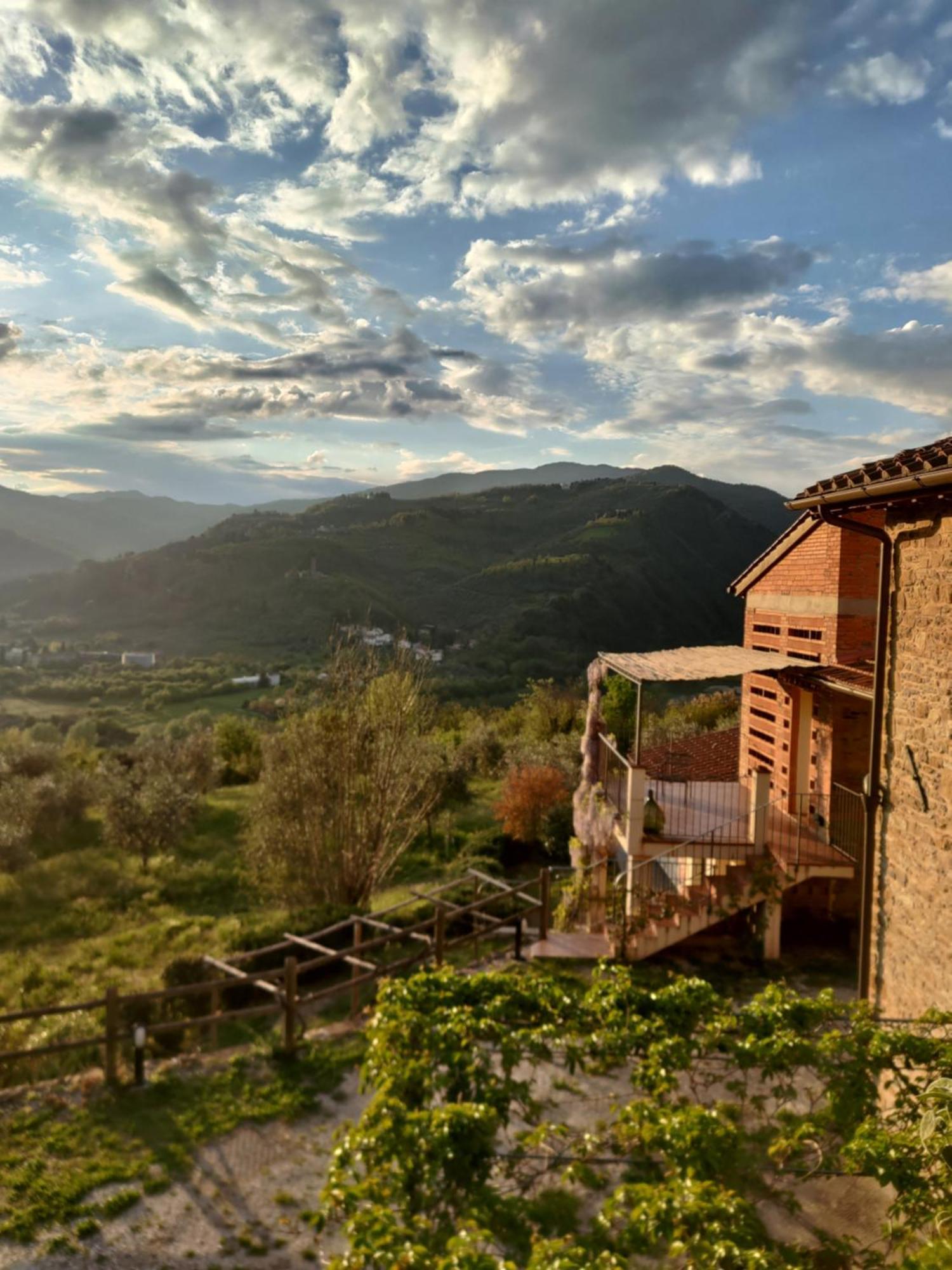 Agriturismo La Fontaccia Rufina Luaran gambar