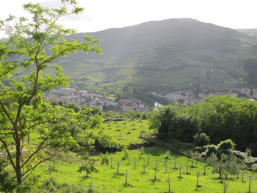 Agriturismo La Fontaccia Rufina Luaran gambar