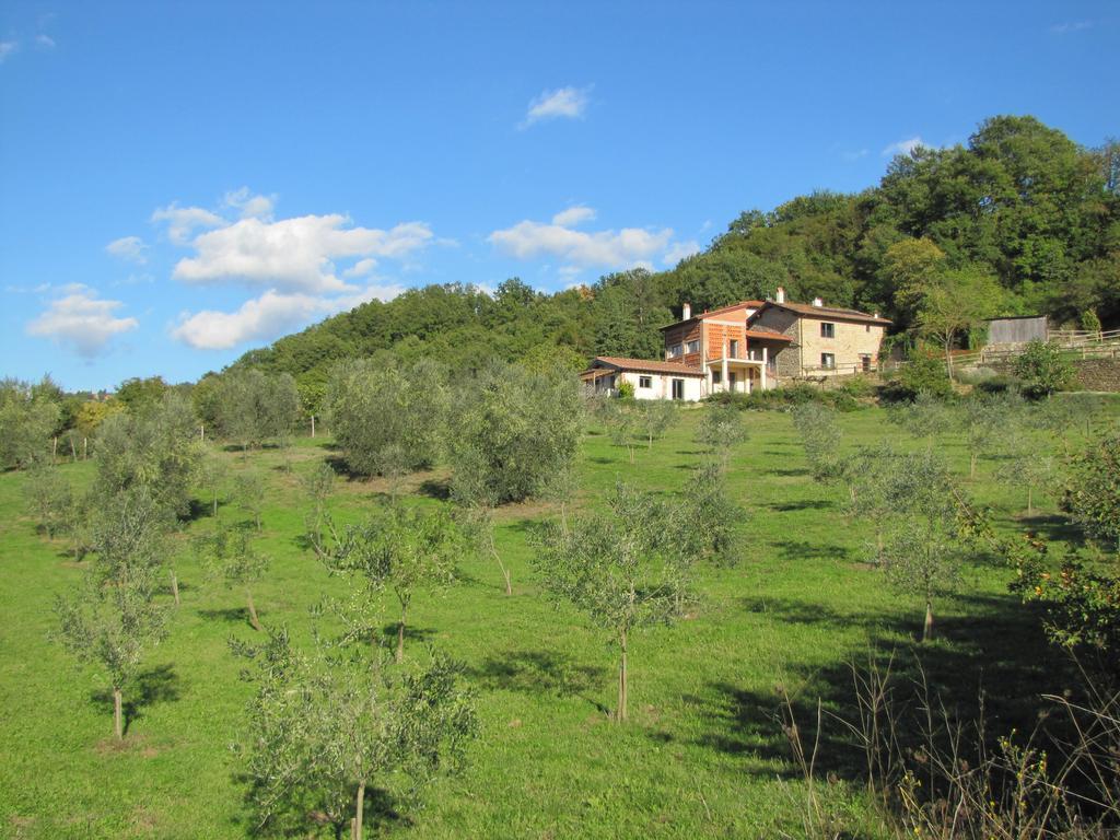 Agriturismo La Fontaccia Rufina Luaran gambar