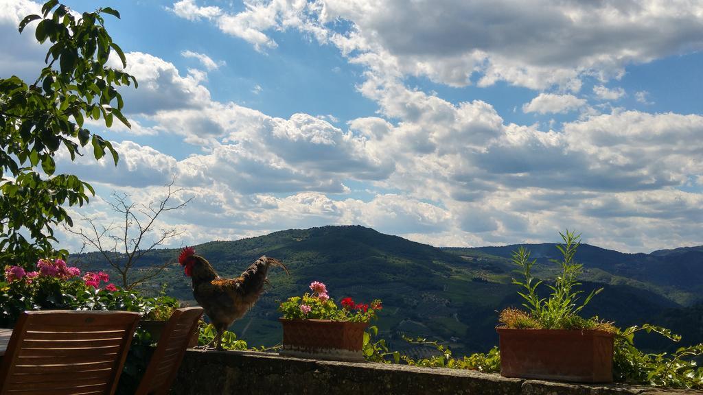 Agriturismo La Fontaccia Rufina Luaran gambar