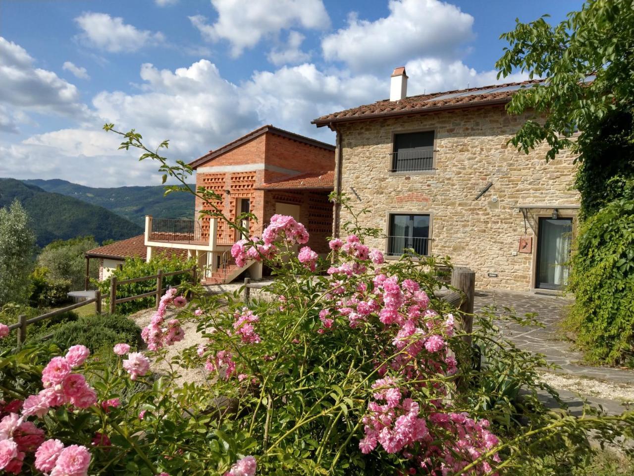 Agriturismo La Fontaccia Rufina Luaran gambar